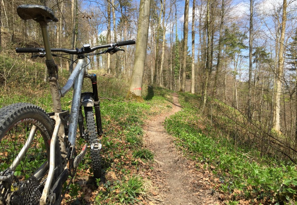 Ober-Wagenburg Trail